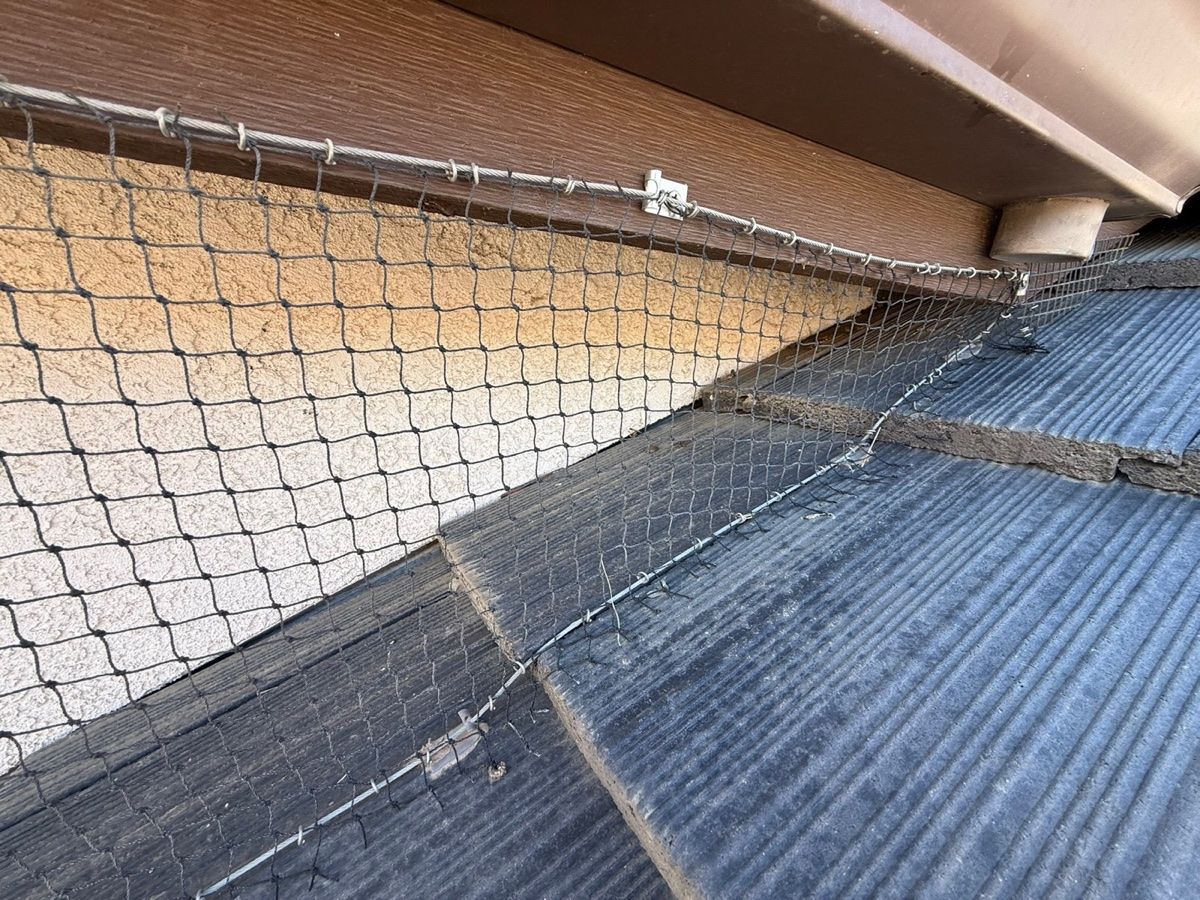 Solar Bird Proofing