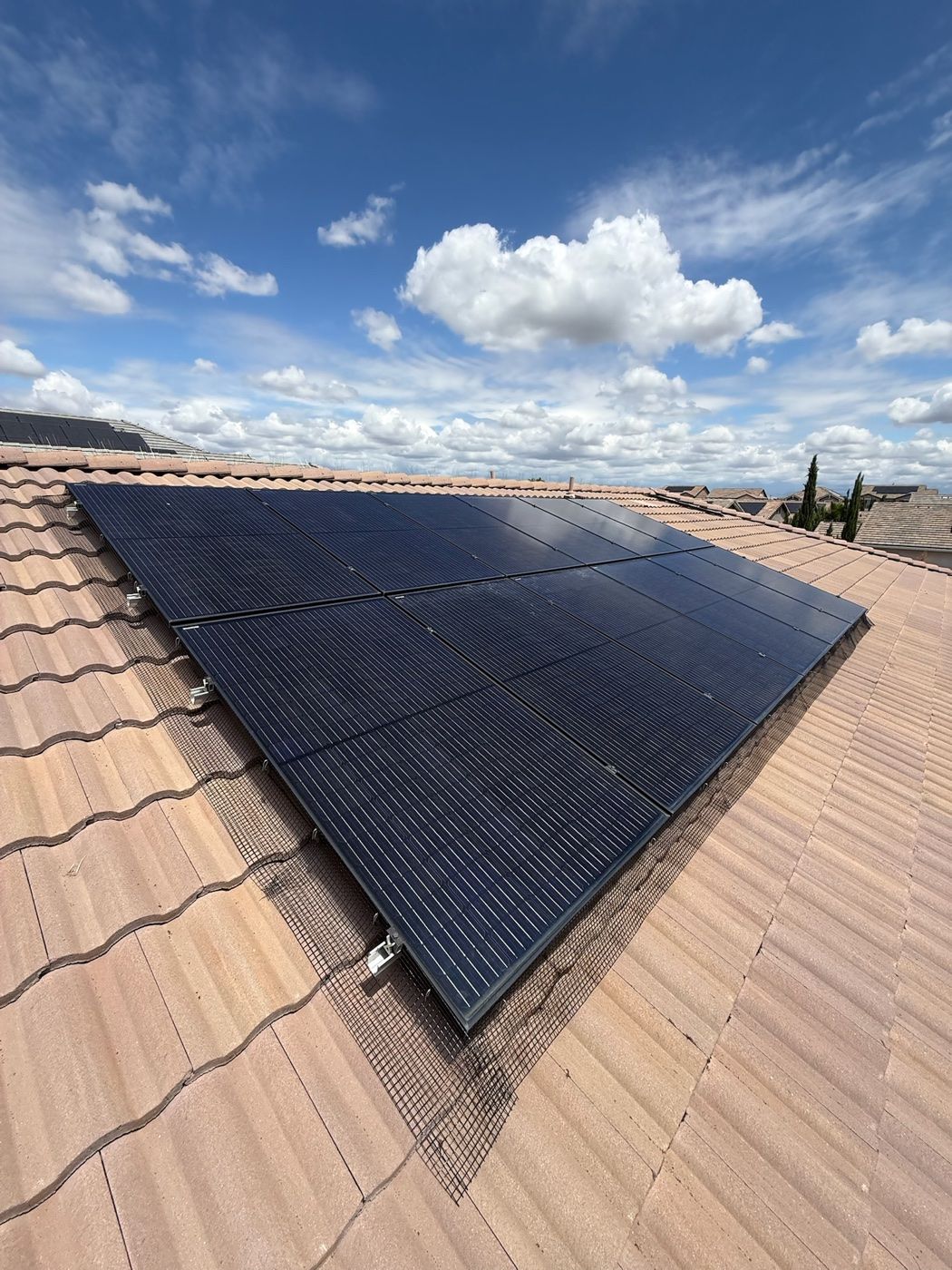Dried nesting debris cleared from underneath a rooftop solar array in Fresno