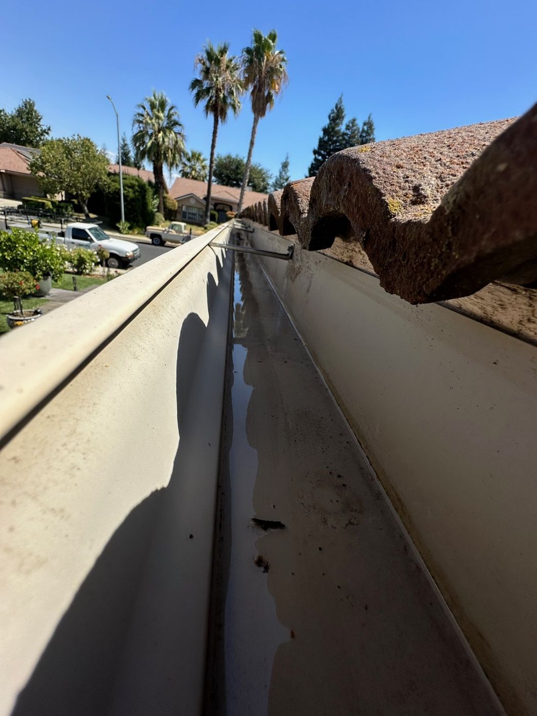 A gutter collecting leaves and debris before cleaning